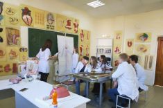 anat3