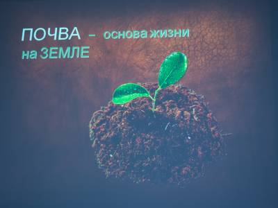 Круглый стол на ЕГФ
