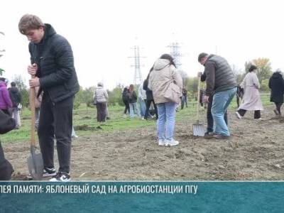 Аллея памяти: яблоневый сад на агробиостанции