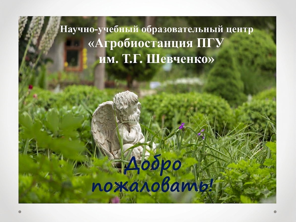 NIOC Agro