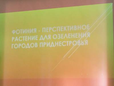 От эксперимента к новым посадкам