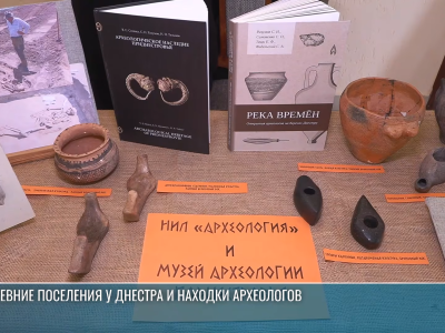 О находках археологов и приднестровском народе: в ПГУ – конференция ко Дню науки