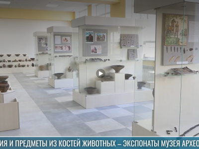 Украшения и артефакты из костей животных: лекция по археозоологии в ПГУ